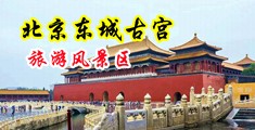 操逼网站进入入口中国北京-东城古宫旅游风景区